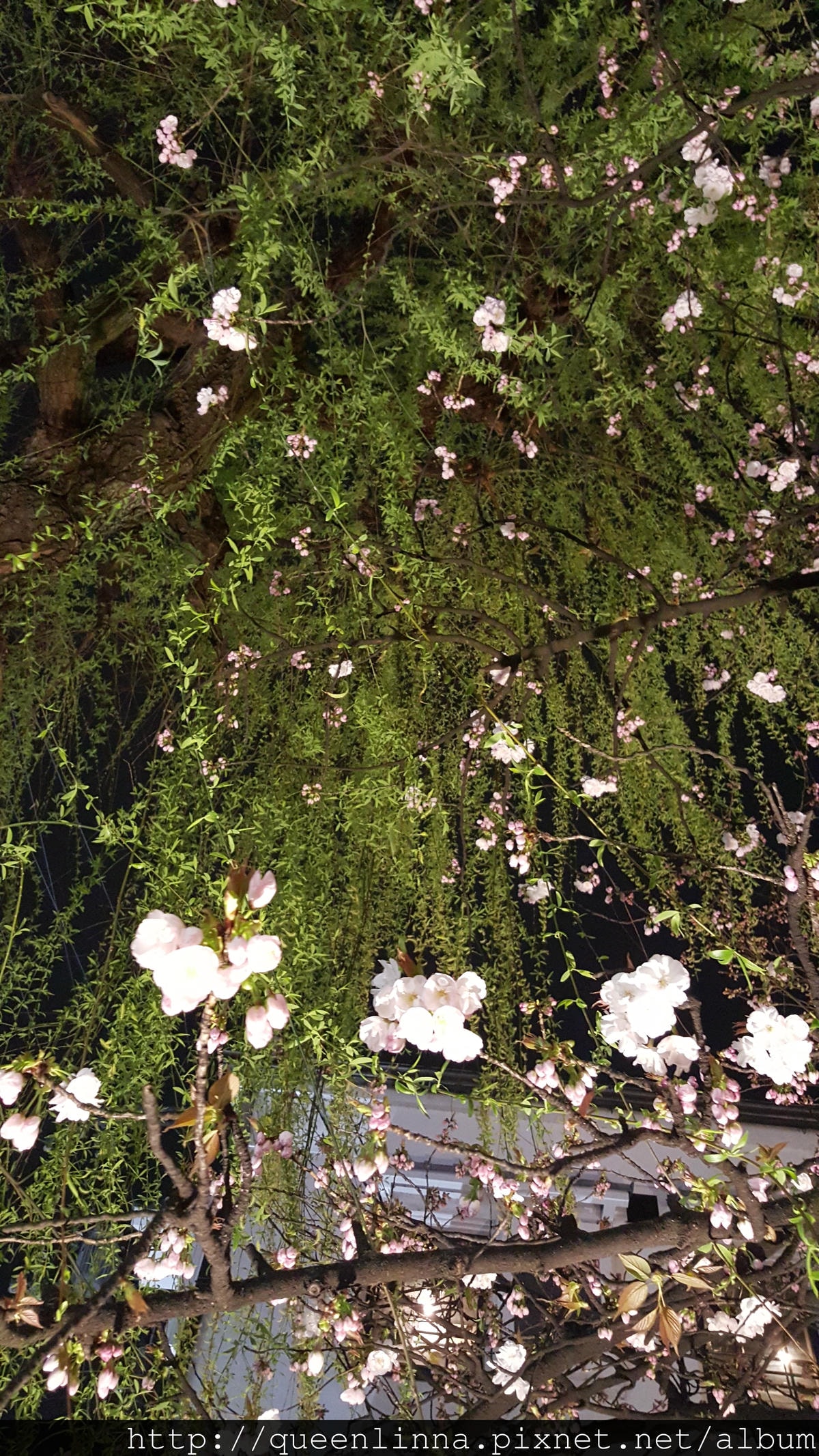 20160329_205911.jpg 20160329_205911.jpg