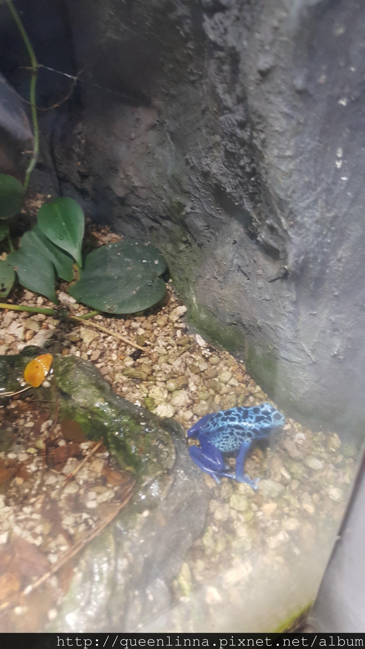 20170201_125030.jpg 20170201_125030.jpg