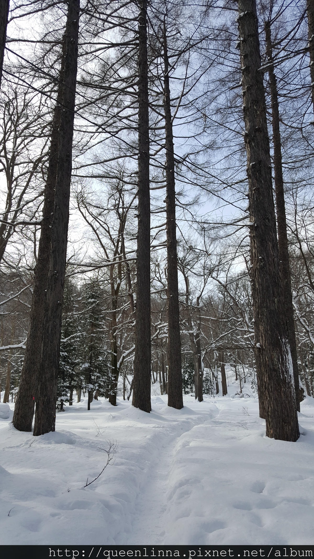 20170201_103215.jpg 20170201_103215.jpg