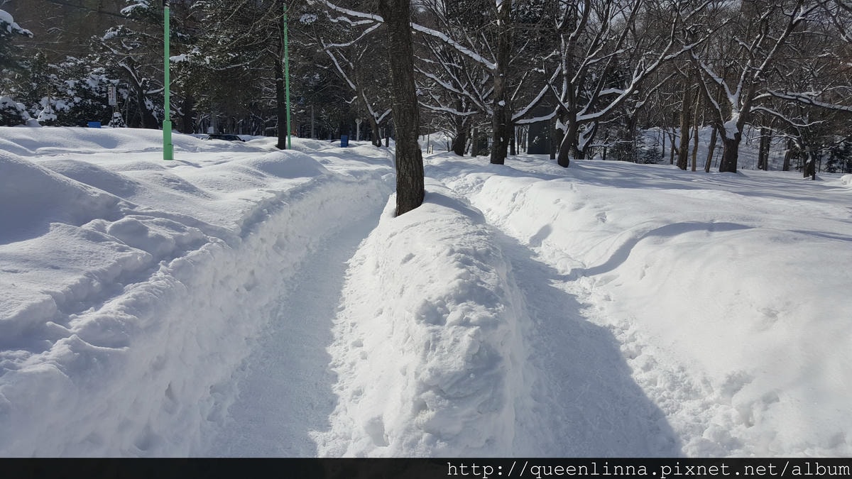 20170201_111828.jpg 20170201_111828.jpg