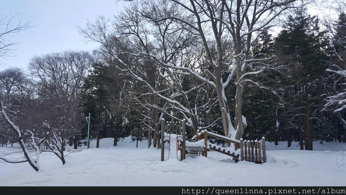 20170201_112307.jpg 20170201_112307.jpg