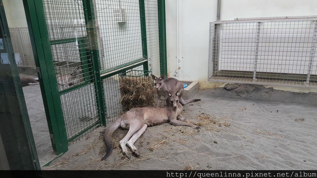 20170201_132106.jpg 20170201_132106.jpg