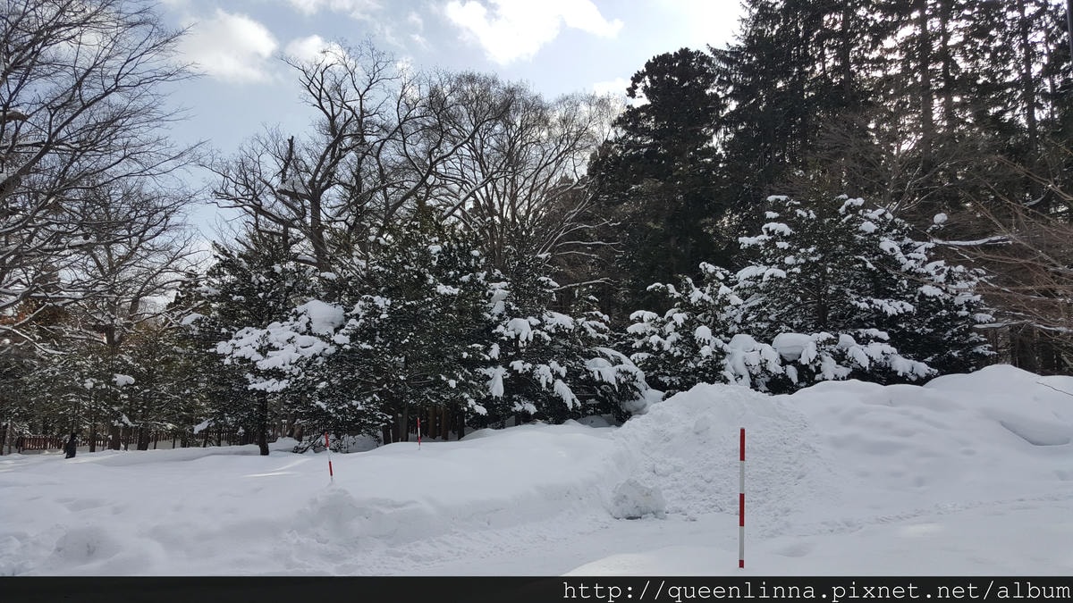 20170201_110854.jpg 20170201_110854.jpg