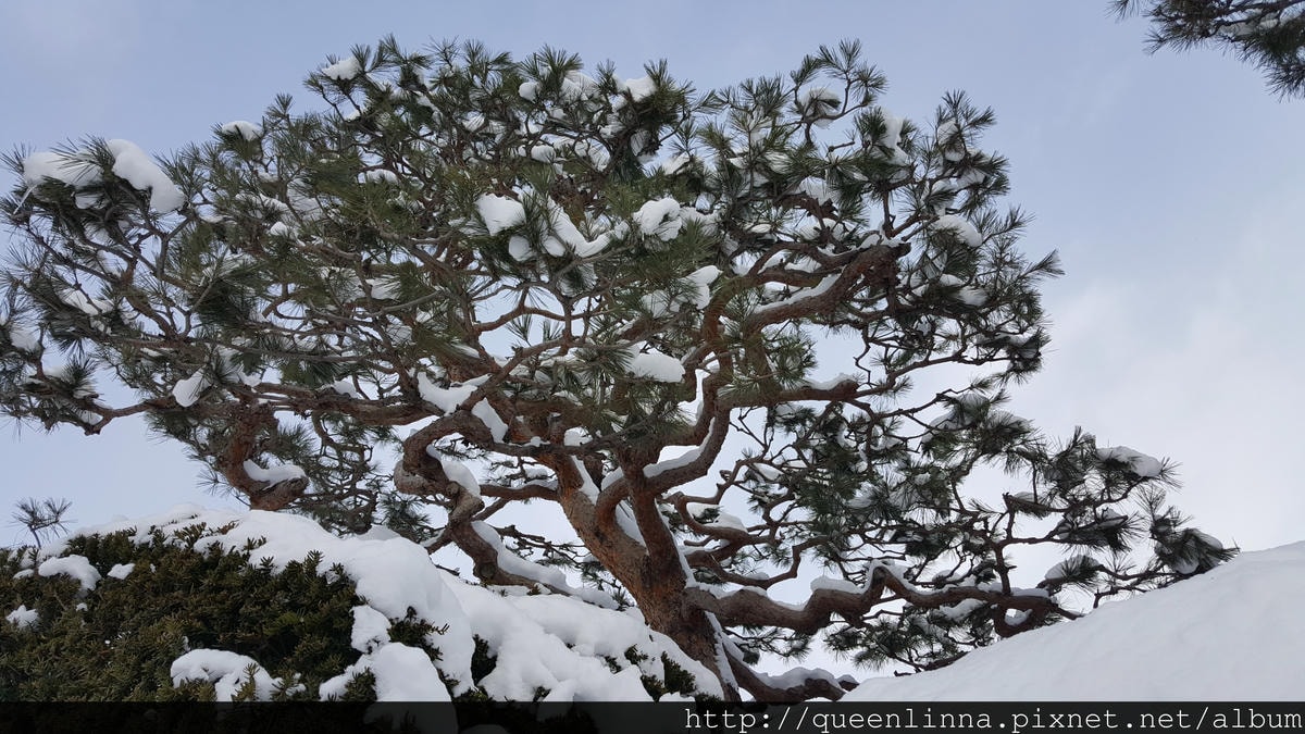 20170201_102442.jpg 20170201_102442.jpg