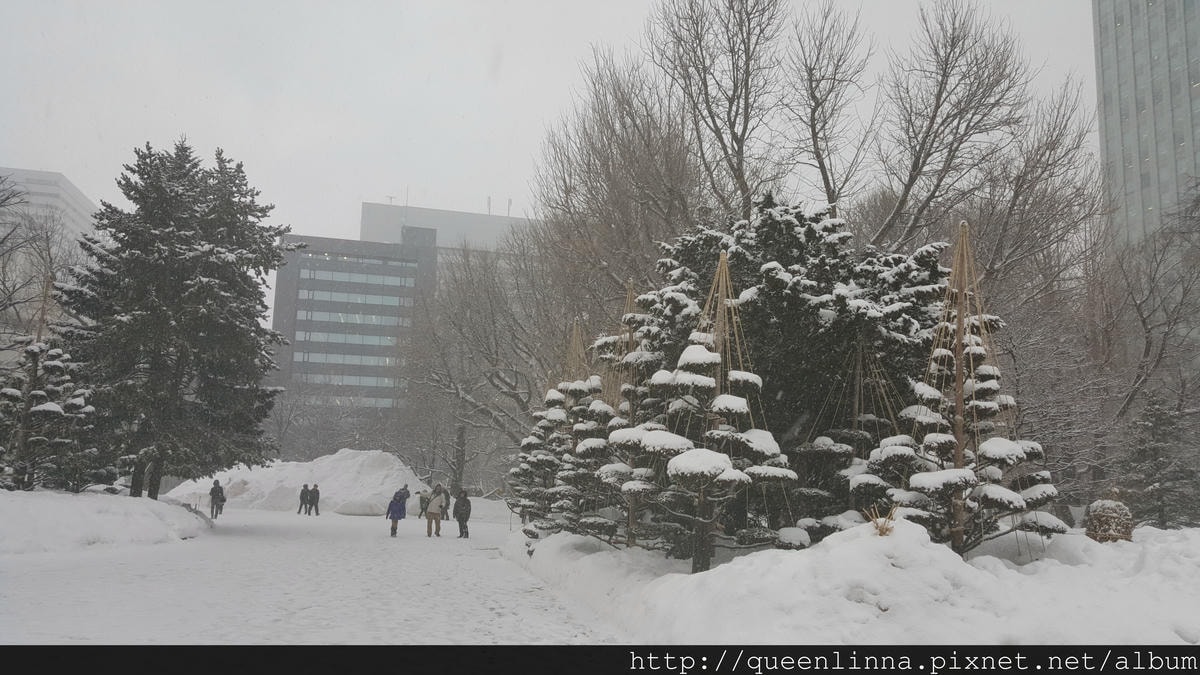 20170201_153014.jpg 20170201_153014.jpg