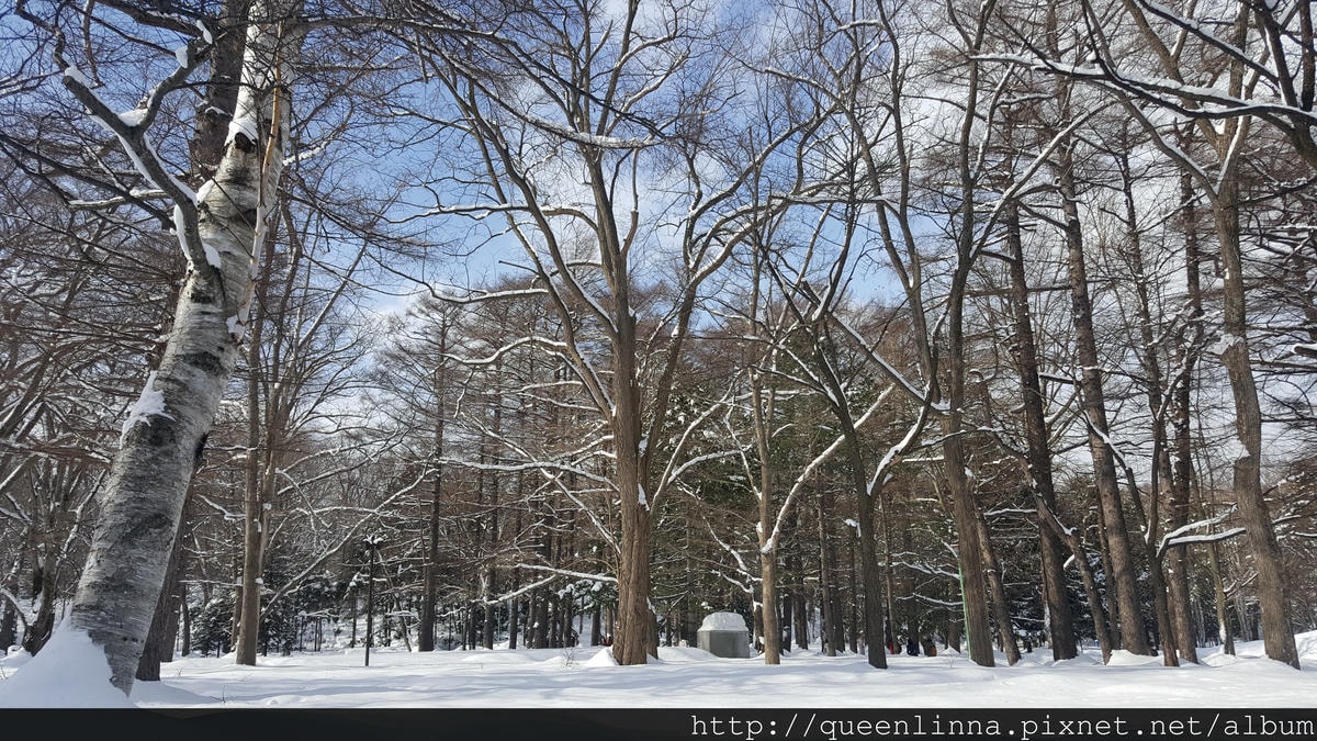 20170201_111718.jpg 20170201_111718.jpg