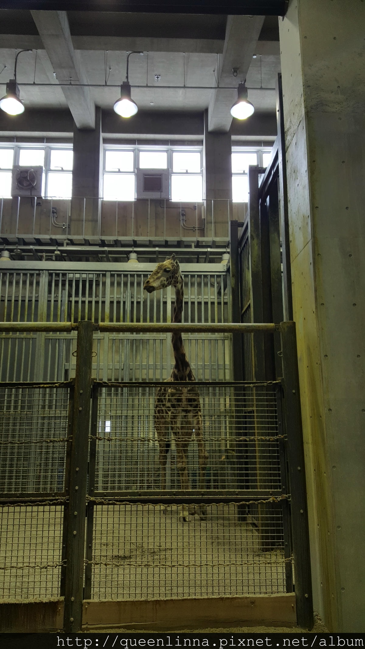 20170201_131400.jpg 20170201_131400.jpg