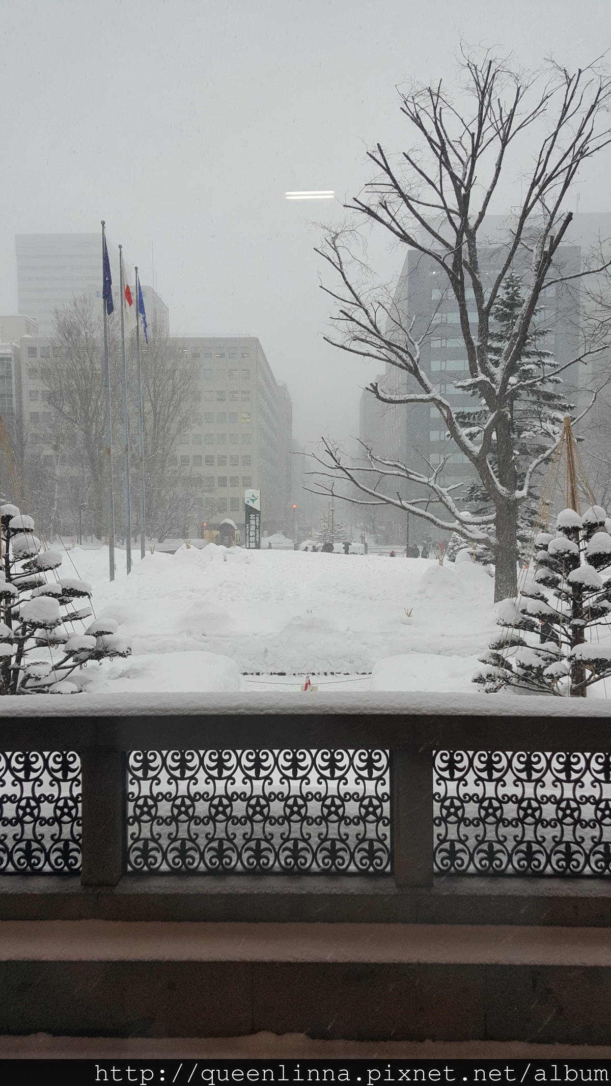 20170201_153356.jpg 20170201_153356.jpg