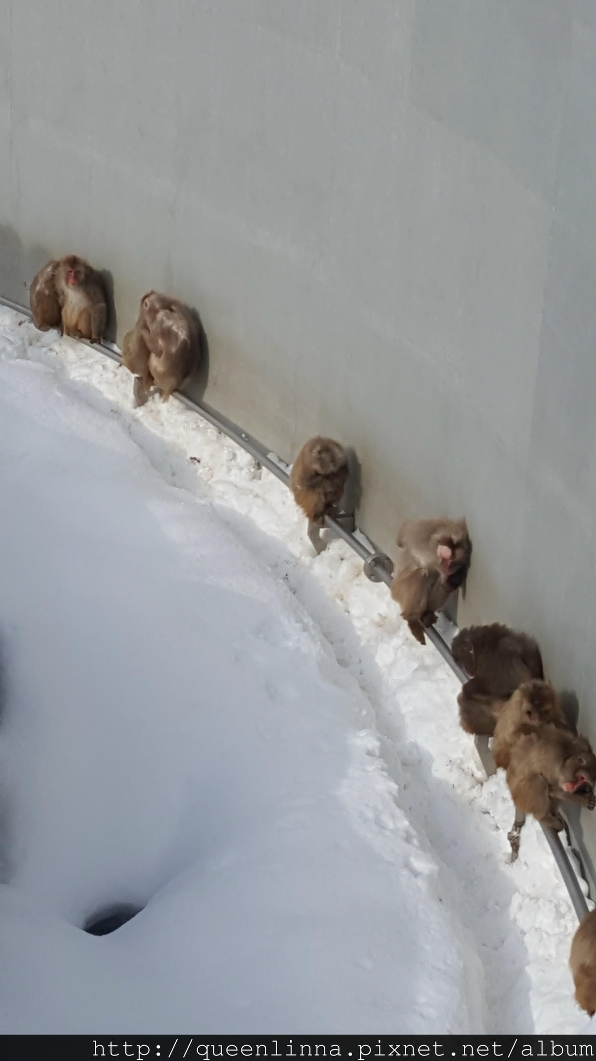 20170201_121652.jpg 20170201_121652.jpg