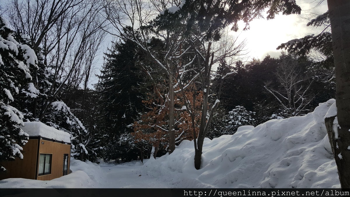 20170201_104243.jpg 20170201_104243.jpg