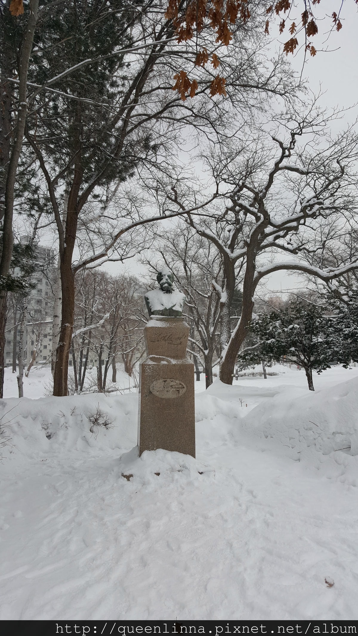 20170201_160304.jpg 20170201_160304.jpg