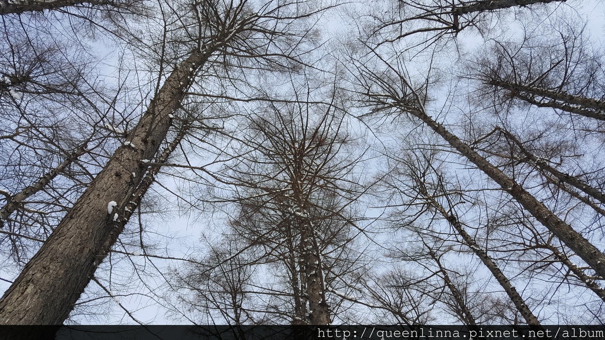 20170201_103250.jpg 20170201_103250.jpg