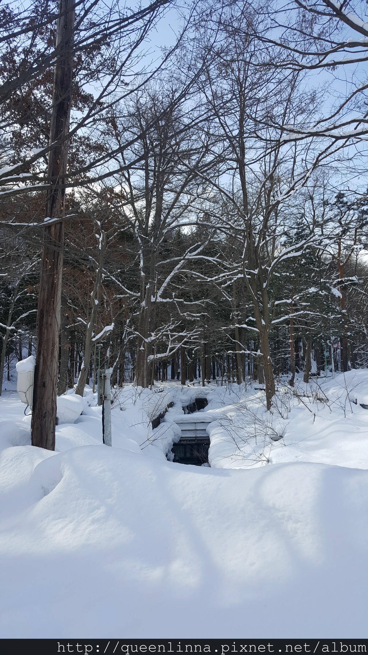 20170201_112144.jpg 20170201_112144.jpg