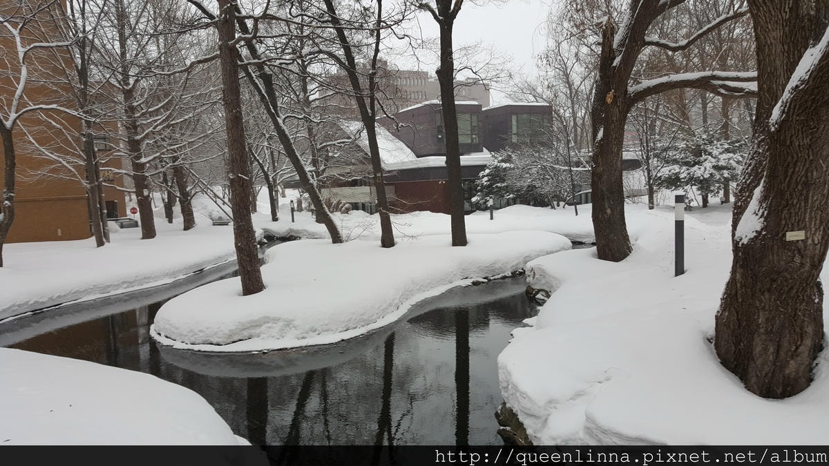 20170201_155926.jpg 20170201_155926.jpg