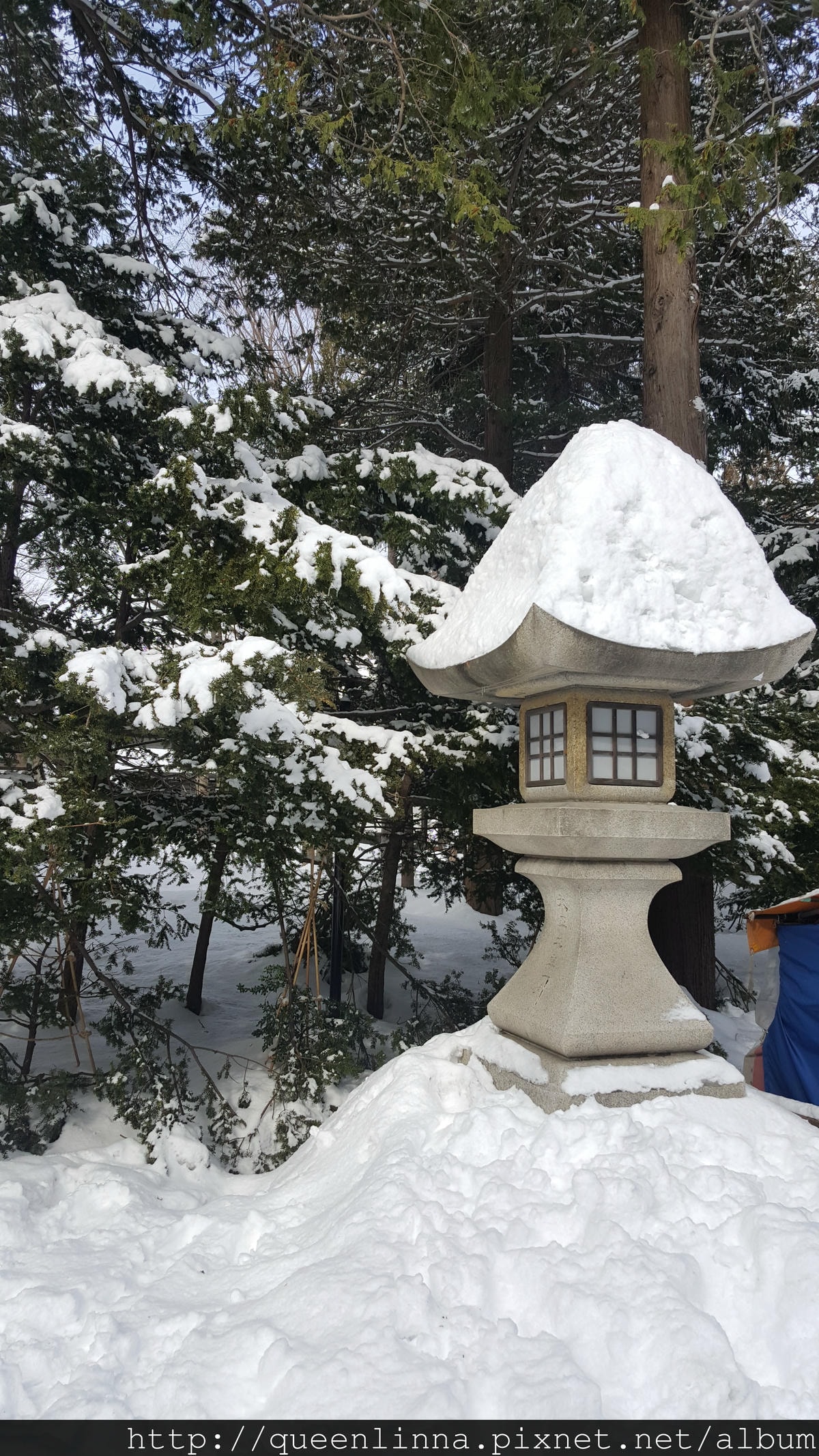 20170201_110410.jpg 20170201_110410.jpg