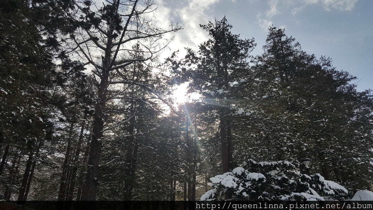 20170201_110501.jpg 20170201_110501.jpg