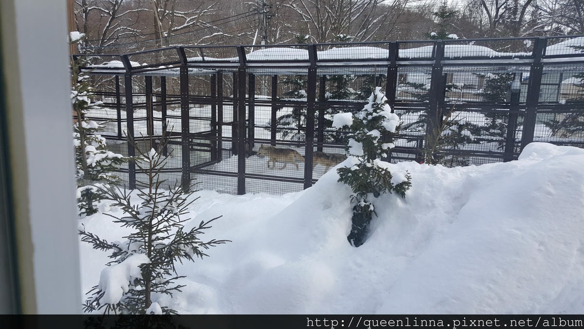 20170201_122846.jpg 20170201_122846.jpg