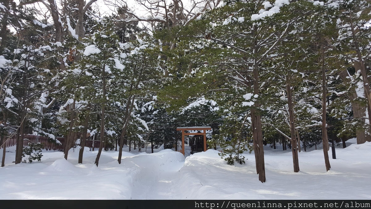 20170201_103812.jpg 20170201_103812.jpg