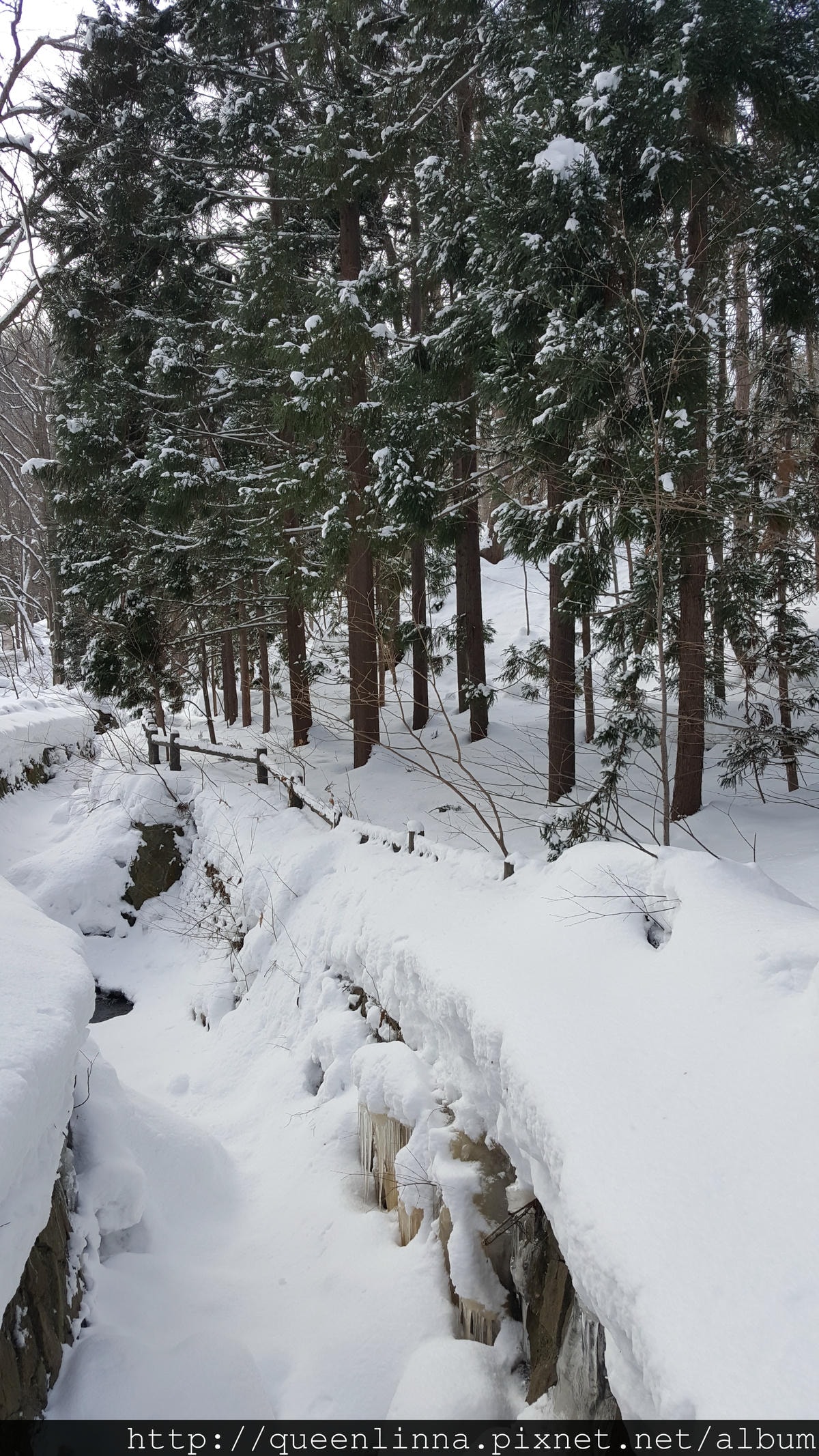 20170201_103403.jpg 20170201_103403.jpg