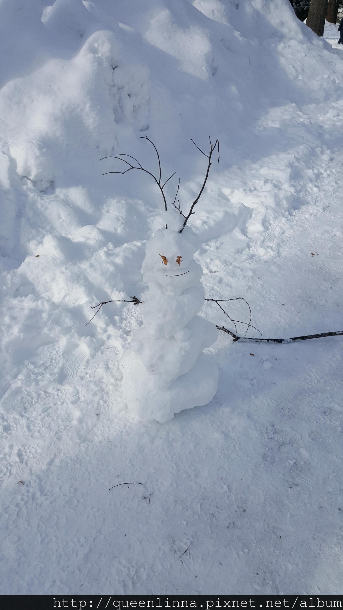 20170201_104250.jpg 20170201_104250.jpg