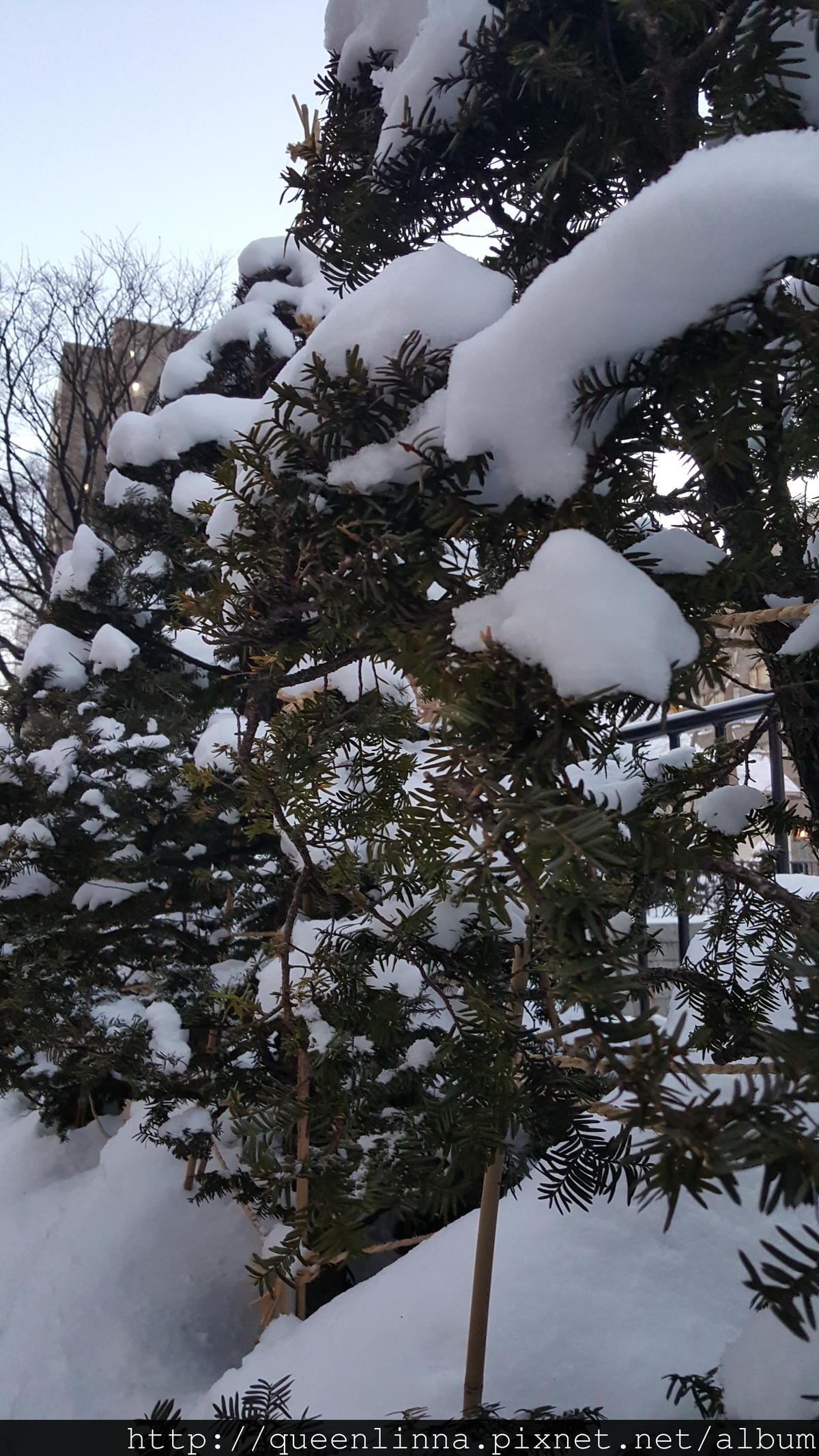 20170131_164530.jpg 20170131_164530.jpg