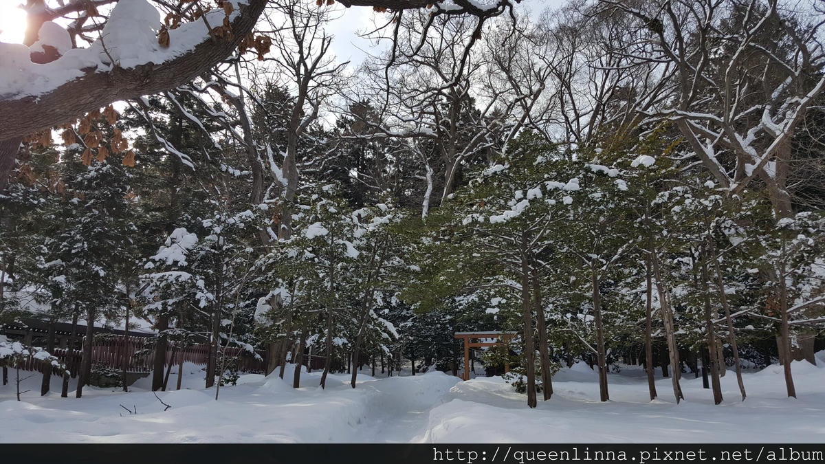 20170201_103802.jpg 20170201_103802.jpg