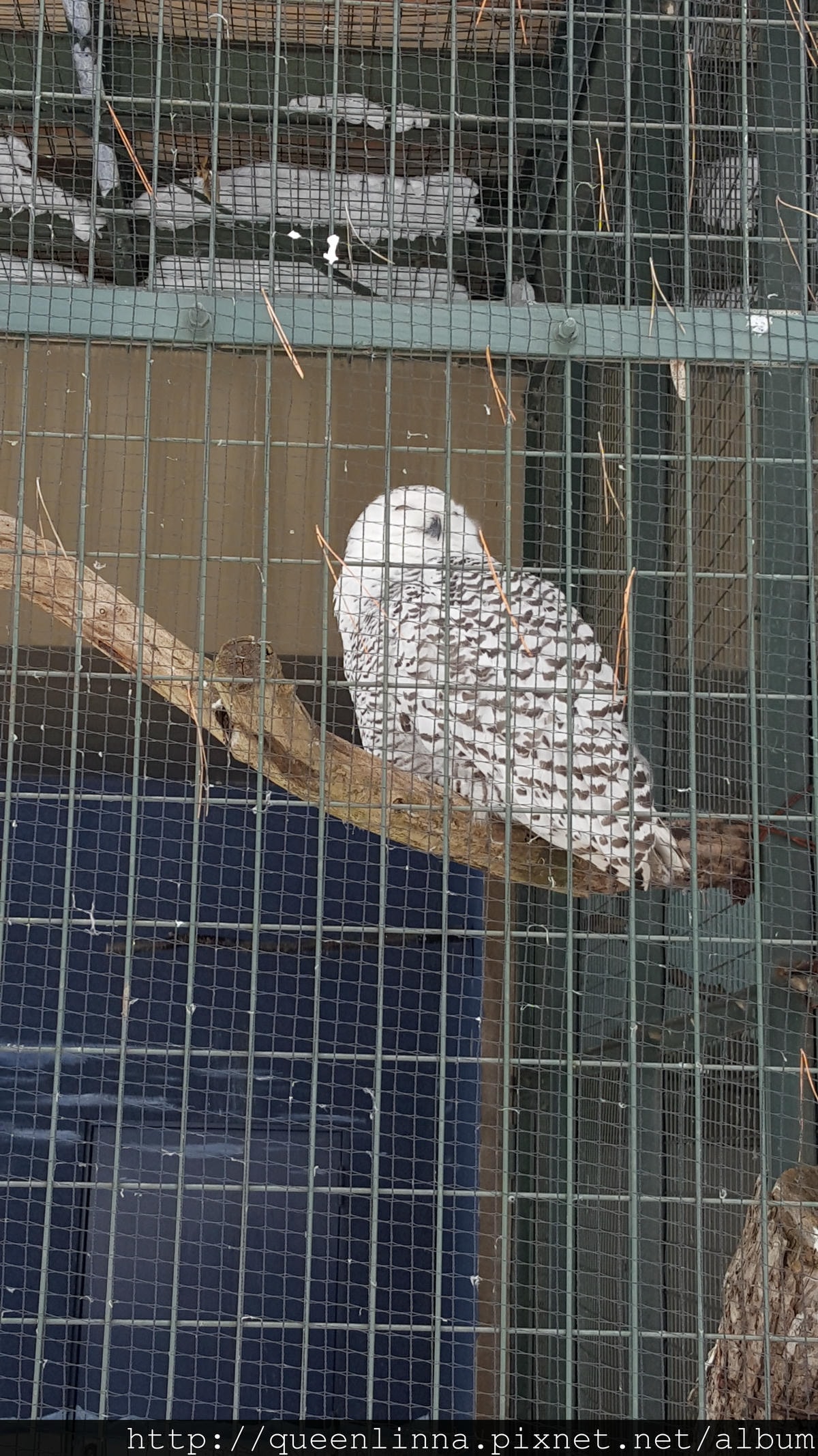 20170201_131909.jpg 20170201_131909.jpg