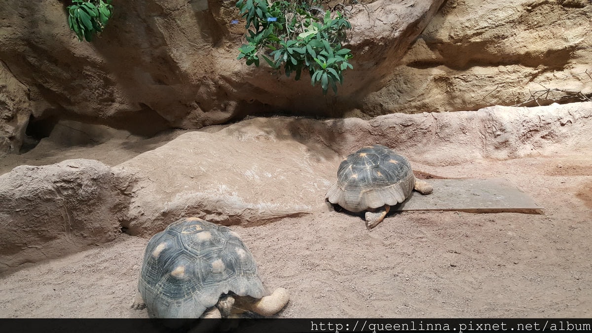 20170201_125101.jpg 20170201_125101.jpg