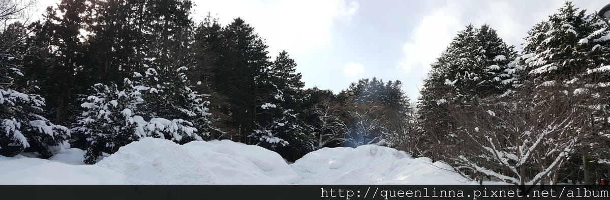 20170201_104000.jpg 20170201_104000.jpg