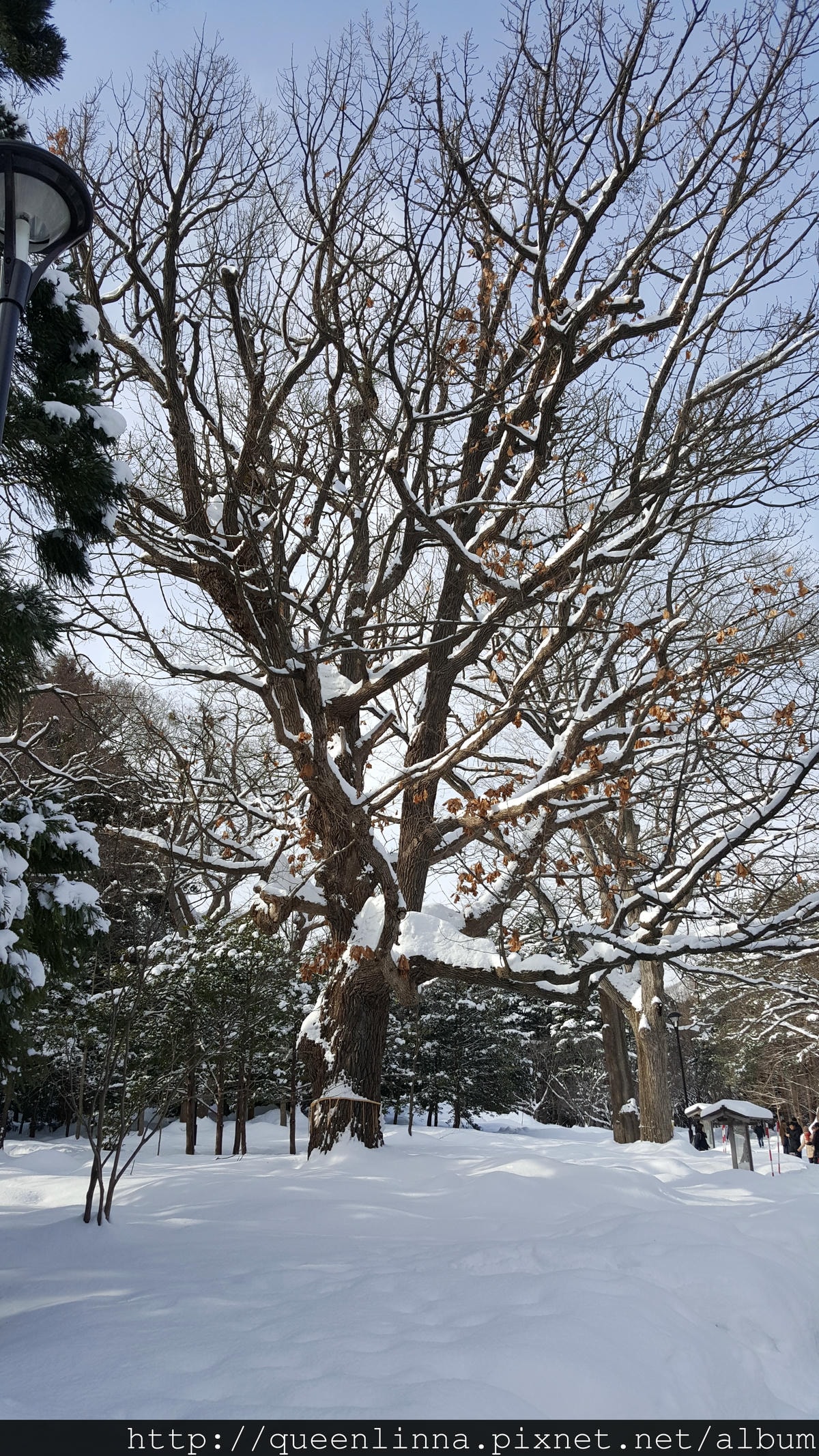 20170201_103713.jpg 20170201_103713.jpg