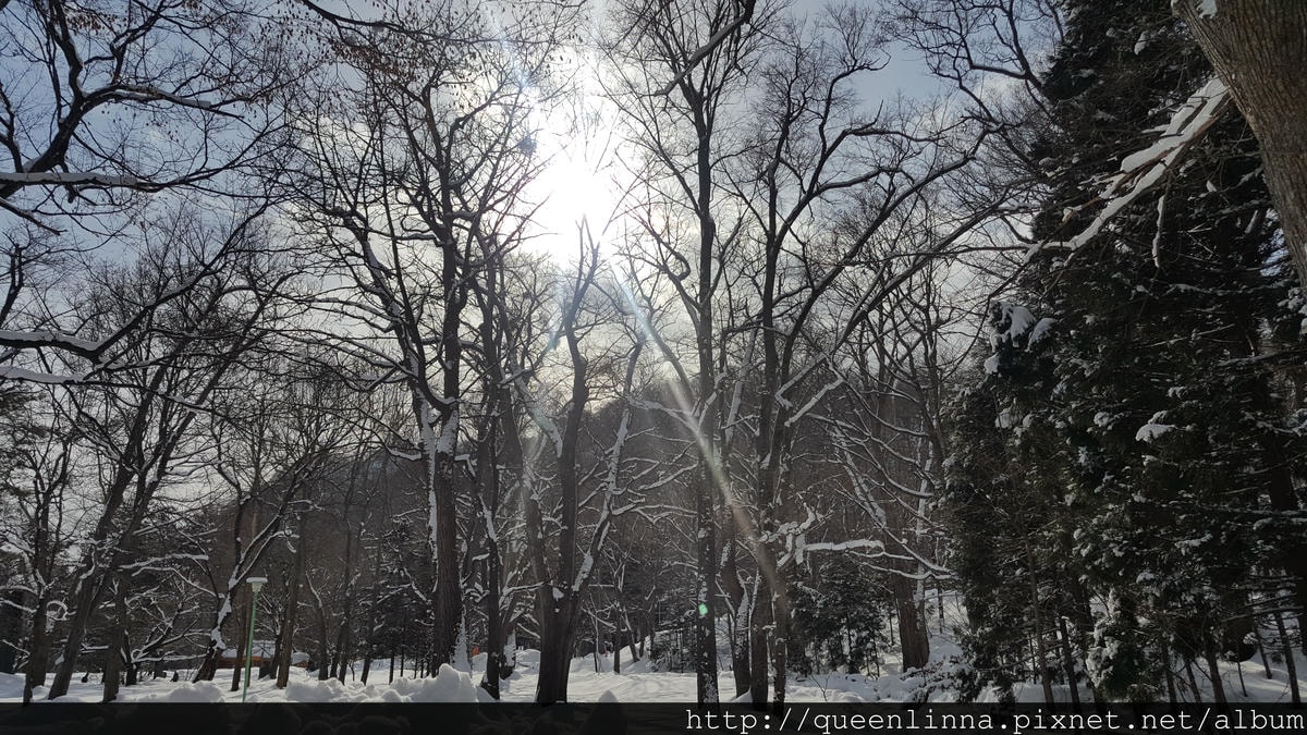 20170201_111224.jpg 20170201_111224.jpg