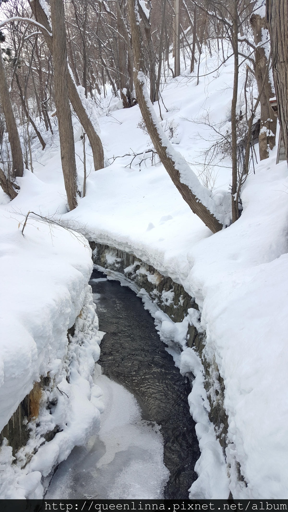 20170201_112900.jpg 20170201_112900.jpg