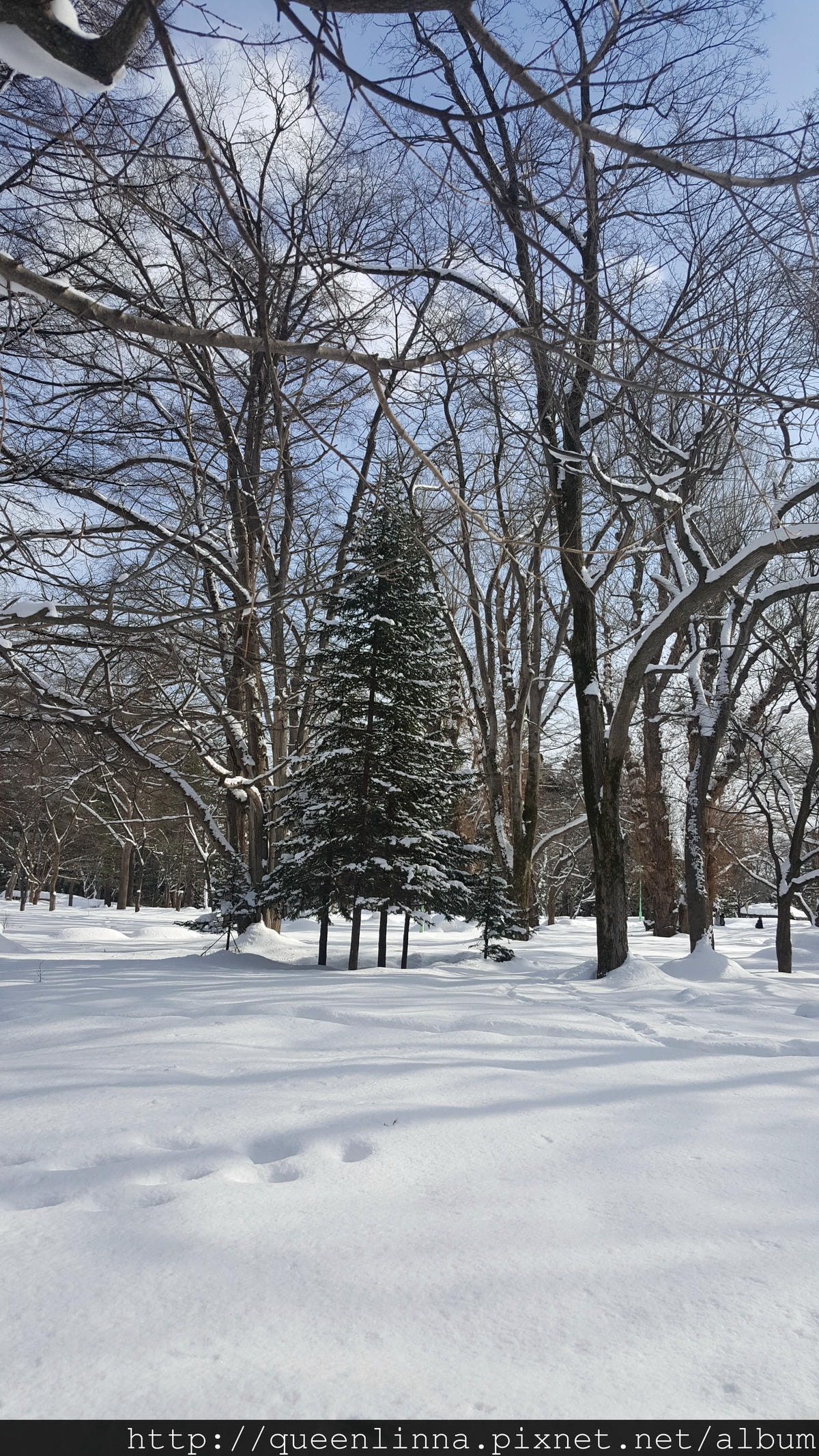 20170201_111314.jpg 20170201_111314.jpg