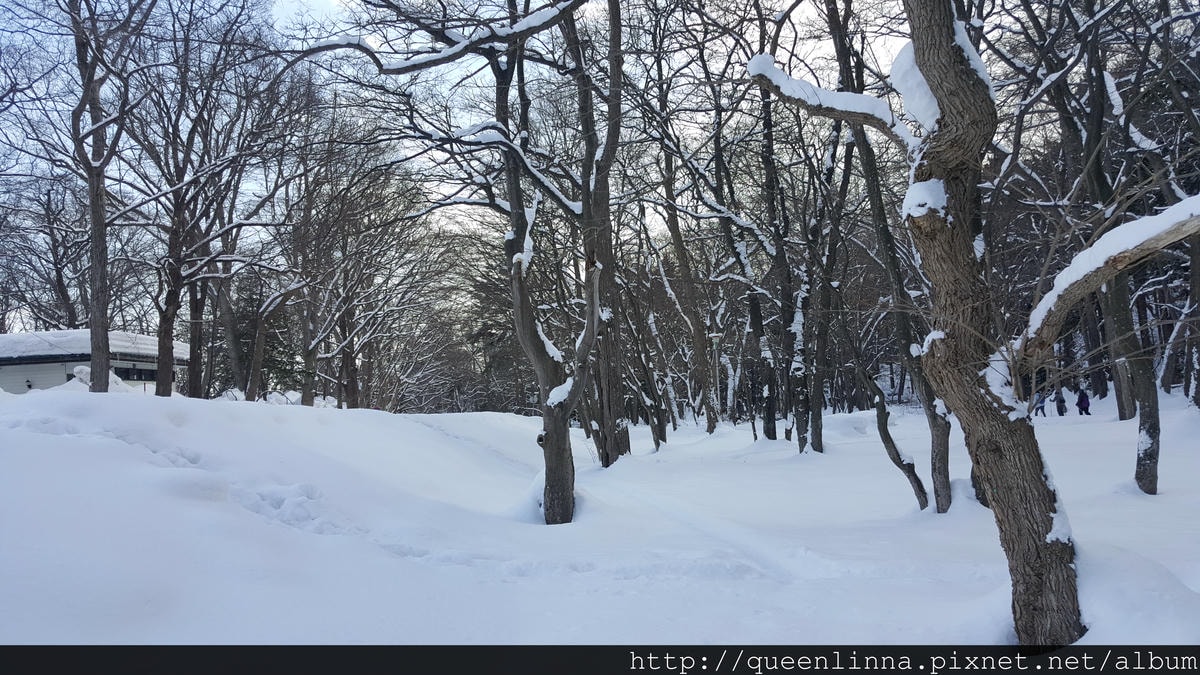 20170201_113009.jpg 20170201_113009.jpg