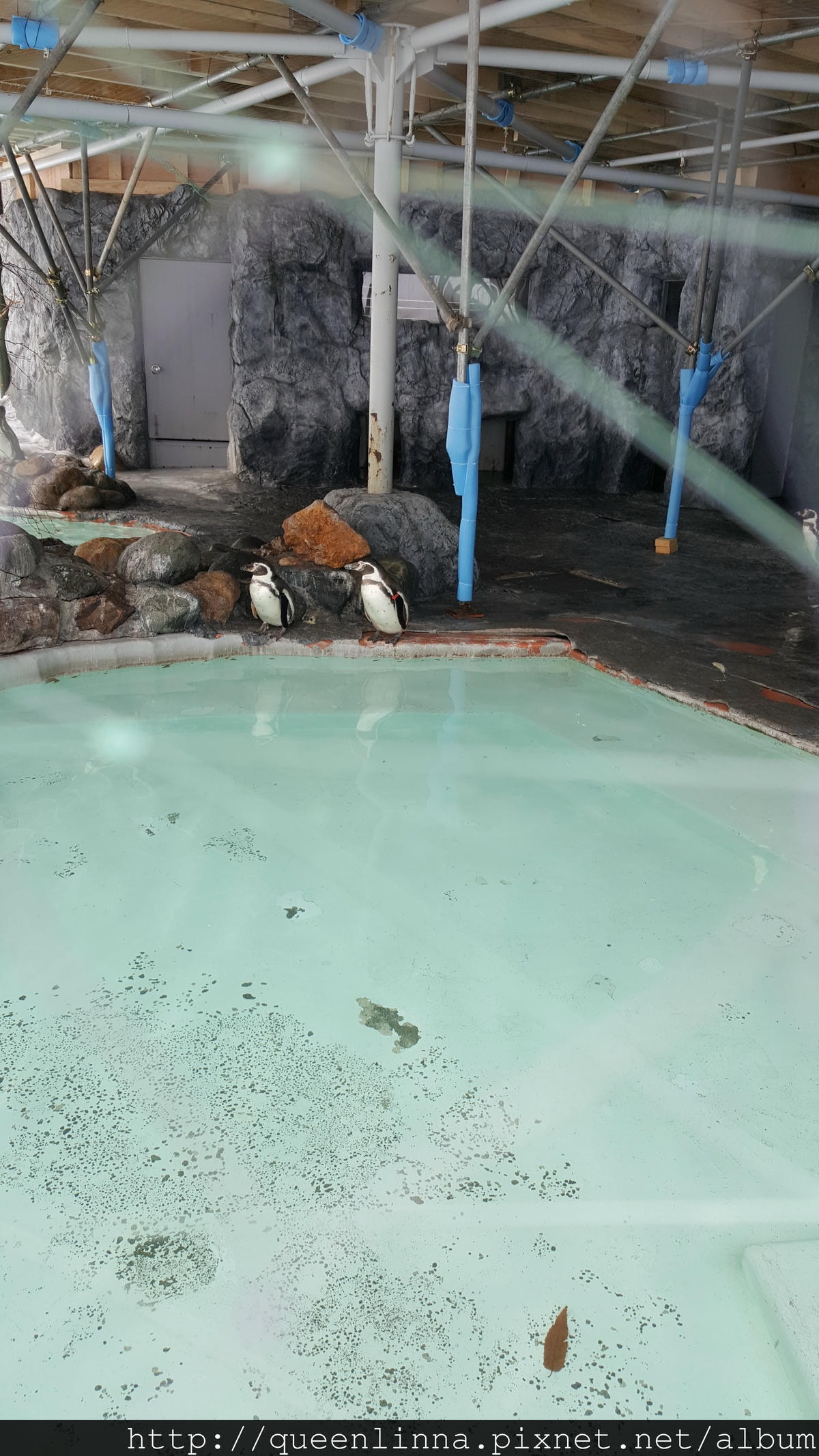 20170201_124601.jpg 20170201_124601.jpg