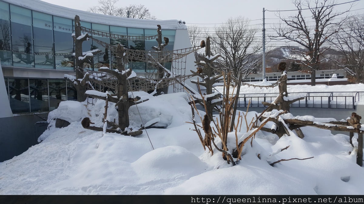 20170201_121523.jpg 20170201_121523.jpg