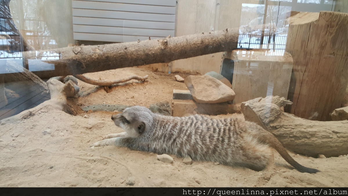 20170201_131626.jpg 20170201_131626.jpg