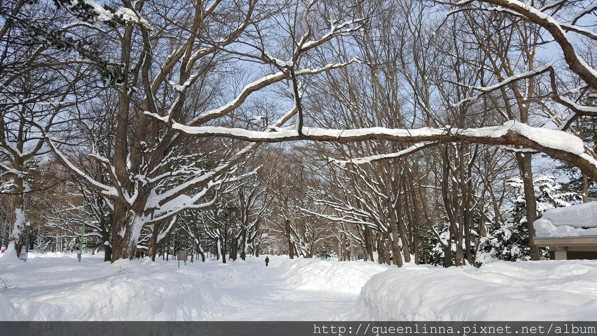 20170201_102945.jpg 20170201_102945.jpg