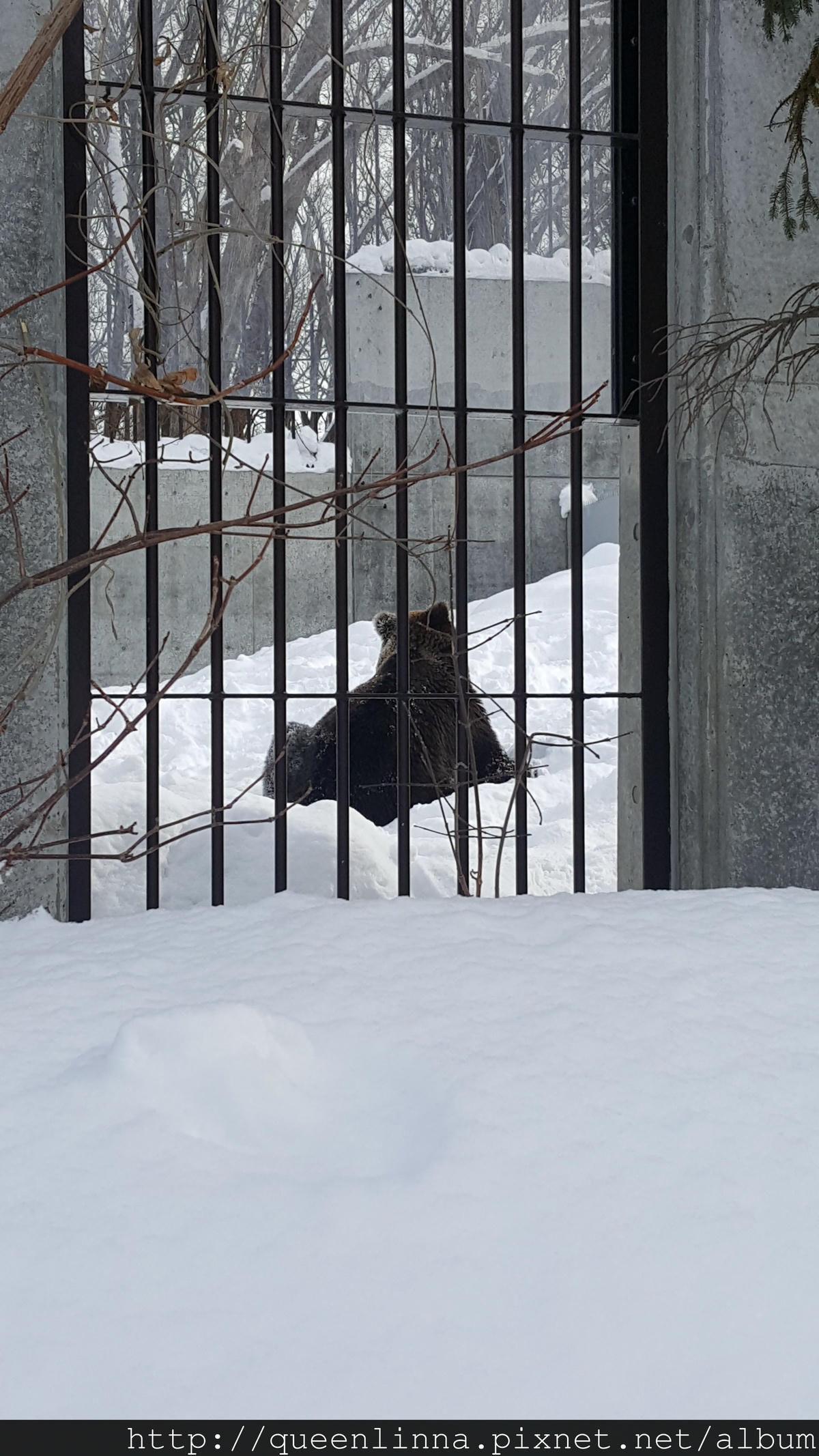 20170201_123100.jpg 20170201_123100.jpg