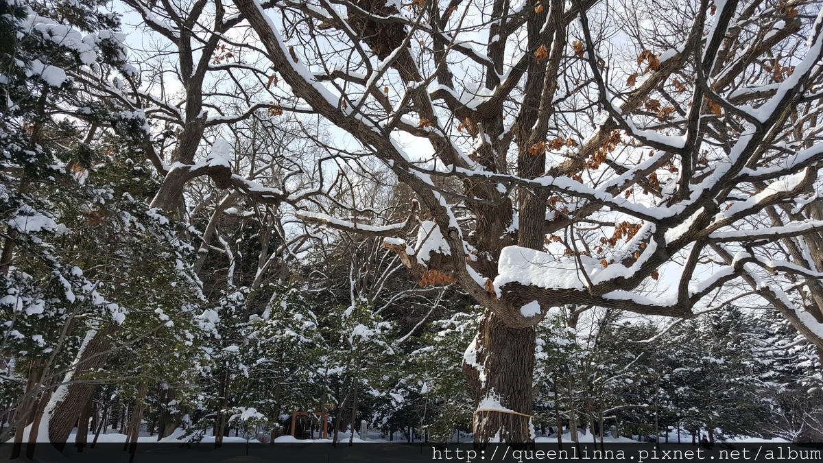 20170201_103735.jpg 20170201_103735.jpg