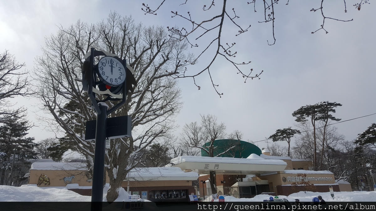 20170201_115956.jpg 20170201_115956.jpg