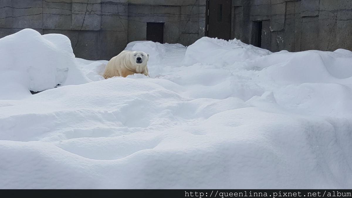 20170201_123723.jpg 20170201_123723.jpg