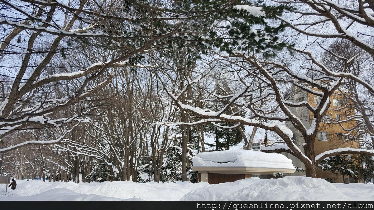 20170201_103035.jpg 20170201_103035.jpg