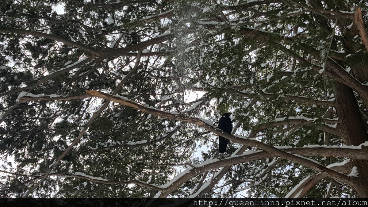 20170201_110605.jpg 20170201_110605.jpg