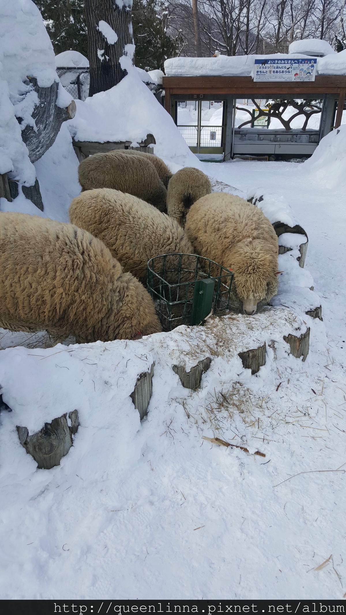 20170201_121246.jpg 20170201_121246.jpg