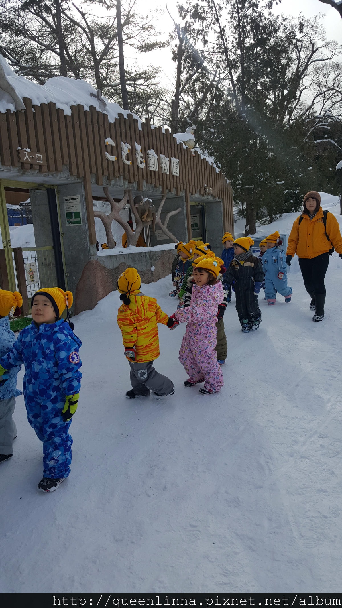 20170201_120543.jpg 20170201_120543.jpg