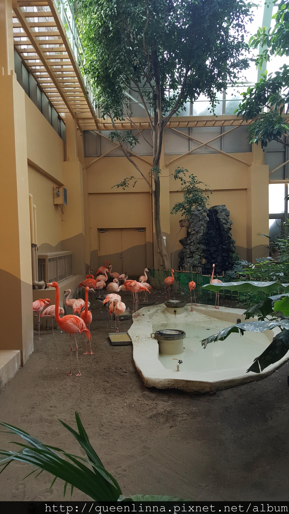 20170201_124313.jpg 20170201_124313.jpg