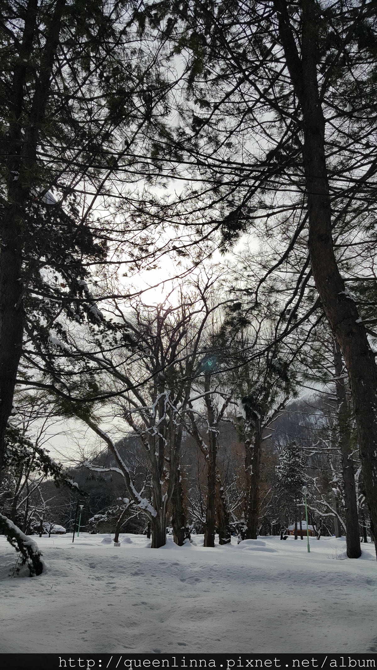 20170201_103158.jpg 20170201_103158.jpg