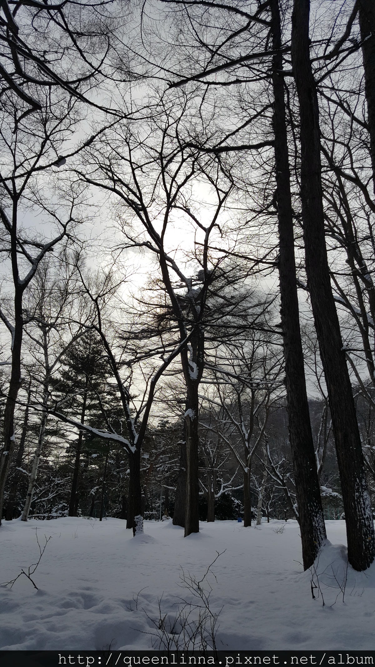 20170201_103102.jpg 20170201_103102.jpg