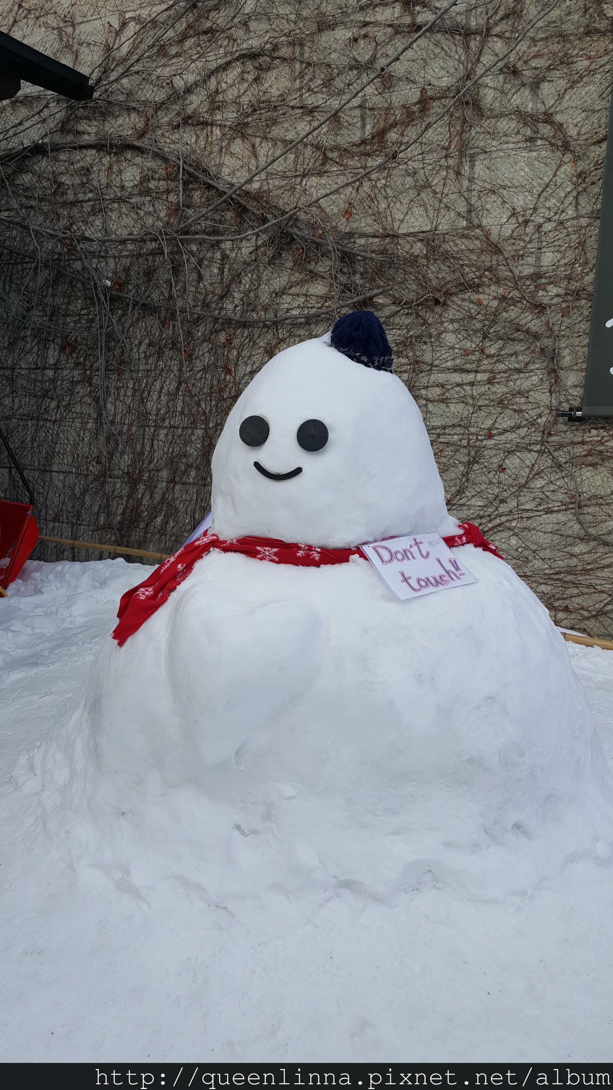 20170204_151305.jpg 20170204_151305.jpg